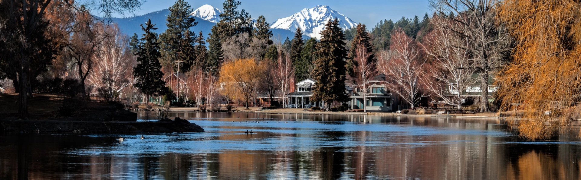 Serice banner of a mountain and lake